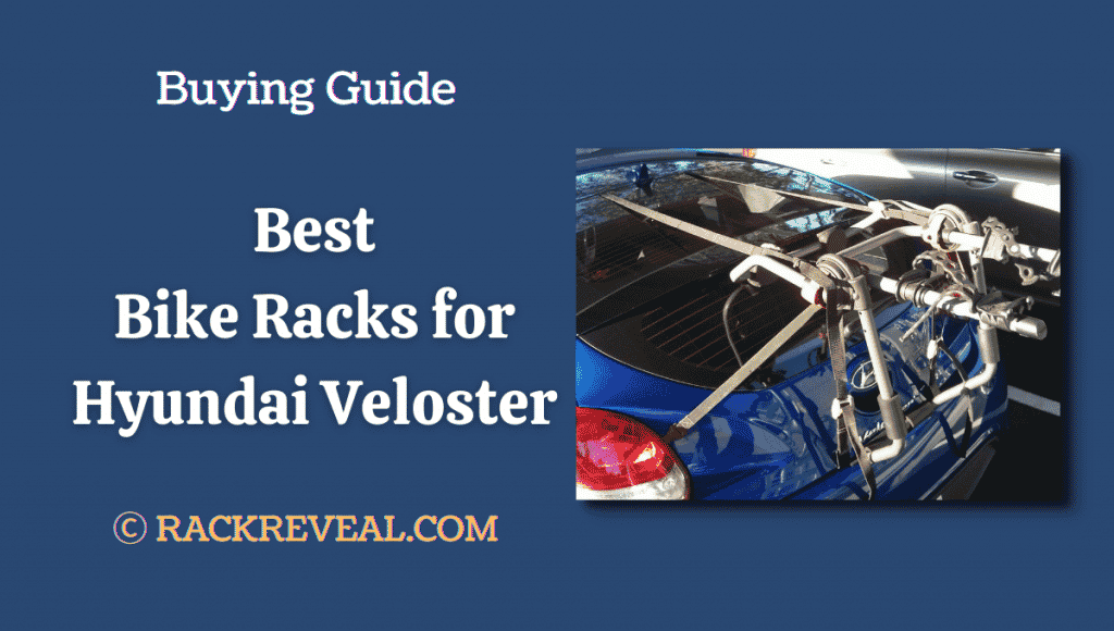 Veloster discount bike rack